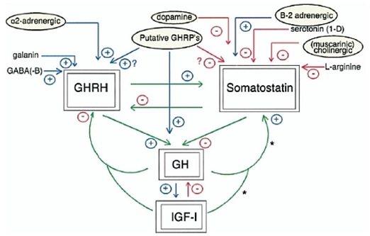 gh-wi-fig-4