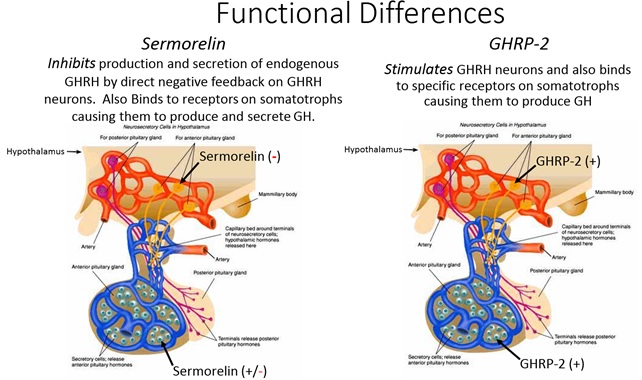 gh-wi-fig-7