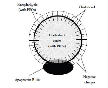 peo-fig-1
