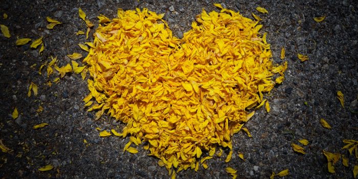 Yellow heart