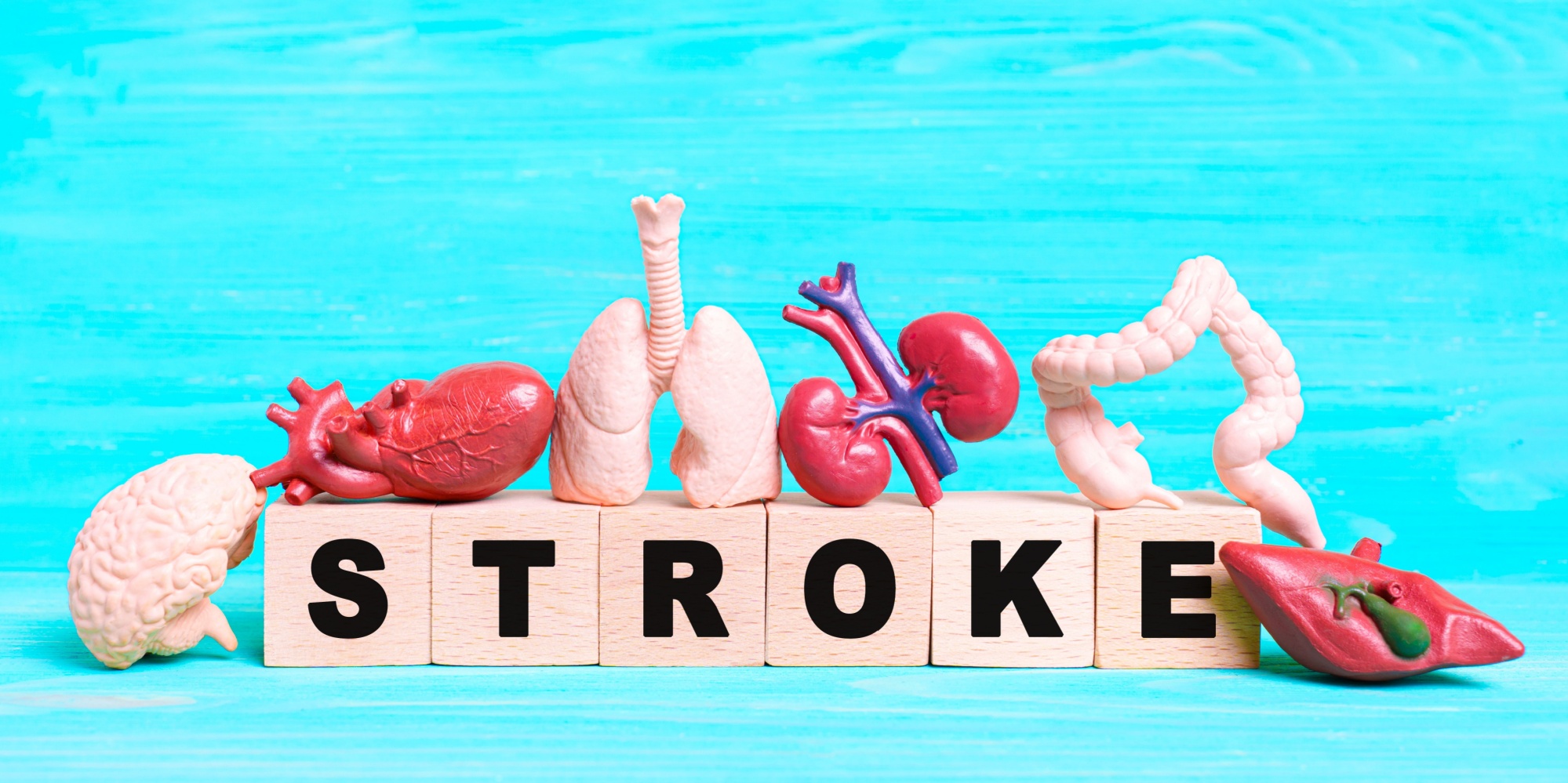 The word STROKE