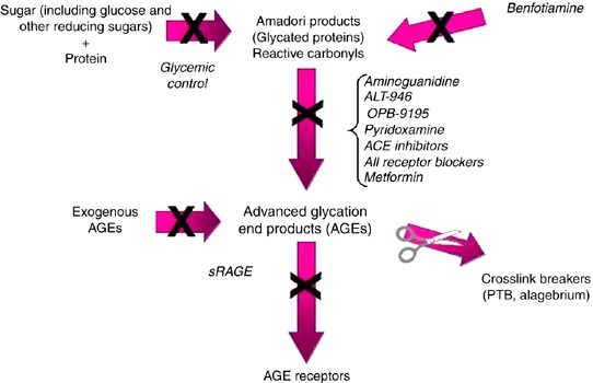age-fig-2