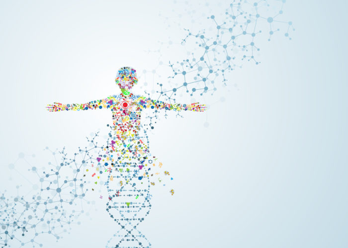 Body and mind connection